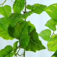 uploads/erp/collection/images/Home Garden/CongDing/XU0612408/img_b/XU0612408_img_b_4